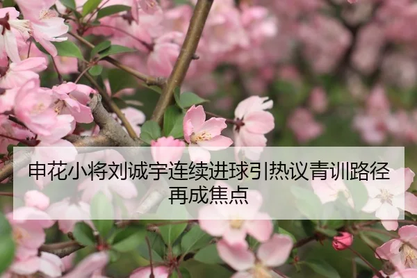 申花小将刘诚宇连续进球引热议青训路径再成焦点（leyu）